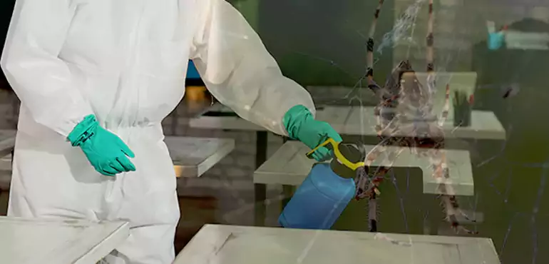 Why Buyers Still Want Homes With Pest Infestations in Port St. Lucie, FL?