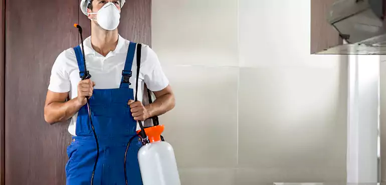 Why Port St. Lucie Homeowners Choose Us When Pests Make Selling Difficult